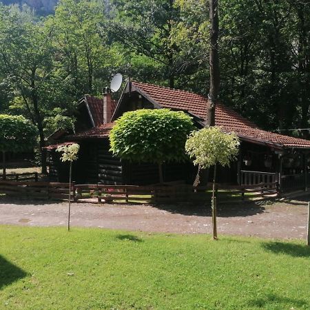 Ferienwohnung Vikendica Matovic Ovcar Banja Exterior foto